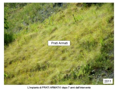 EROSIONE - RINATURALIZZAZIONE: (BZ) CANTIERE DIMOSTRATIVO CON DIVERSE TECNICHE ANTIEROSIVE A CONFRONTO: Dopo 8 anni i PRATI ARMATI continuano a migliorare mentre tutte le altre tecniche tradizionali sono regredite o addirittura scomparse !