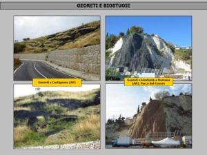 BIOSTUOIE GEORETI GEOCELLE GEOGRIGLIE MULCH TERRENO VEGETALE