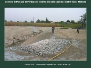 Scogliera