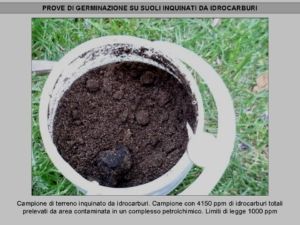 Suoli inquinati da idrocarburi non inerbibili con tecniche tradizionali