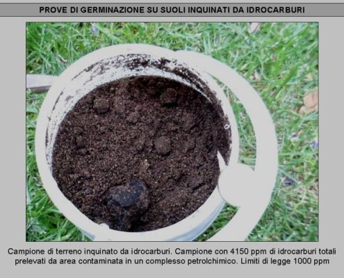 Suoli inquinati da idrocarburi non inerbibili con tecniche tradizionali