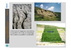 Cotecchia Pagina 4