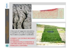 Cotecchia Pagina 5