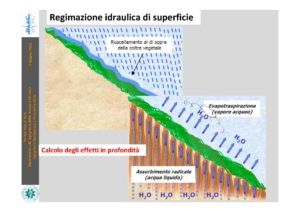 Cotecchia Pagina 6