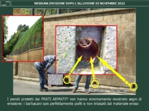 Diapositiva14