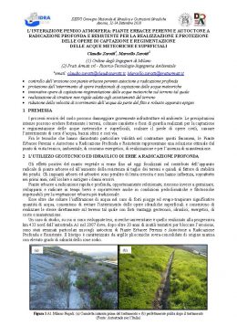 L’INTERAZIONE PENDIO ATMOSFERA: PIANTE ERBACEE PERENNI E AUTOCTONE A
RADICAZIONE PROFONDA E RESISTENTE PER LA REALIZZAZIONE E PROTEZIONE
DELLE OPERE DI CAPTAZIONE E REGIMENTAZIONE
DELLE ACQUE METEORICHE E SUPERFICIALI