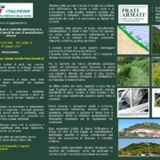 Seminario R.F.I.: Tecniche tradizionali di consolidamento del