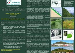 Seminario R.F.I.: Tecniche tradizionali di consolidamento del
