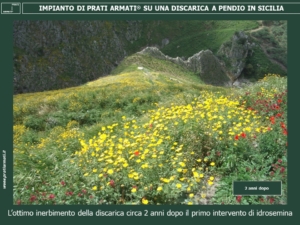 Discarica dismessa a pendio rinaturalizzata con i Prati Armati