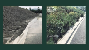 Le cunette a bordo strada erano soggette a continui intasamenti con il materiale eroso che non consentiva l'aapertura della strada. L'intervento con i PRATI ARMATI non solo ha risolto definitivamente questo problema ma ha consentito un perfetto inserimento paesaggistico ed ambientale dell'intervento, consentendo oltretutto il rientro degli insetti impollinatori (api, farfalle, etc)