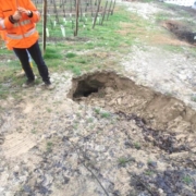 Porzione terminale della scarpata a monte della banca; la cengia in gessi ha subito sistematiche instabilizzazioni che hanno portato allo scoscendimento o al solo scollamento di porzioni isolate da un sistema di discontinuità parallelo al pendio, in condizioni di incipiente crollo