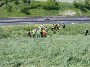Rischio idrogeologico bloccato sull'A1 zona Fabbro dopo il trattamento con i Prati Armati®