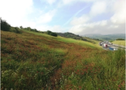 Autostrade per l'Italia A1 MI-NA Fabbro il versante dopo la semina dei Prati Armati®