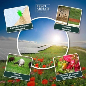 Campi Fotovoltaici e i vantaggi usando i Prati Armati