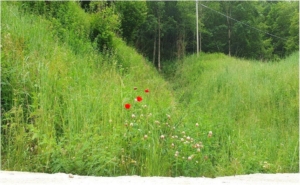 Dissesto Idrogeologico bloccato dai Prati Armati sulla Val di Trebbia SS45
