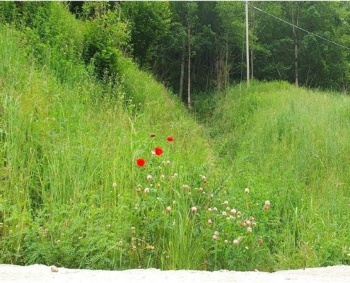 Dissesto Idrogeologico bloccato dai Prati Armati sulla Val di Trebbia SS45