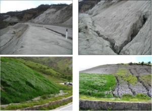 Basilicata SS92 della Val d'Agri: l'ingegneria della natura blocca il dissesto idrogeologico in atto