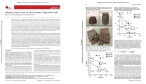 Campania - Influence of grass roots on shear strength of pyroclastic soils