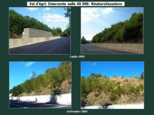 Val d'Agri - intervento sulla SS598 km 44+500 - 2005