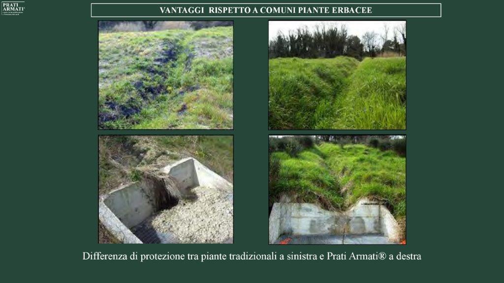 Differenza di protezione tra piante tradizionali a sinistra e Prati Armati® a destra