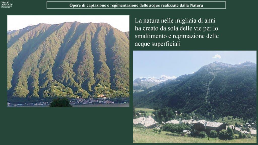 Opere di captazione e regimazione delle acque realizzate dalla Natura per RootS25