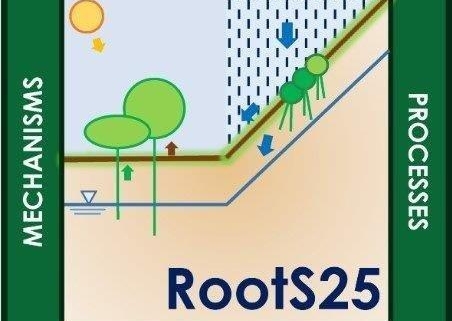 RootS25 6-8-novembre-2025-Logo