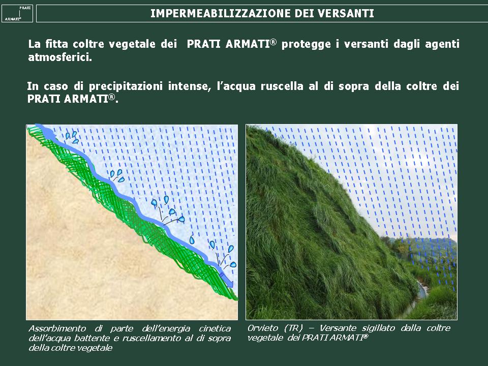IMPERMEABILIZZAZIONE DEI VERSANTI: I PRATI ARMATI, saldamente ancorati al versante con le loro radici profonde e resistenti, isolano il versante dalle piogge e dal vento, come fossero il tetto di una capanna IMPERMEABILIZZAZIONE DEI VERSANTI: I PRATI ARMATI, saldamente ancorati al versante con le loro radici profonde e resistenti, isolano il versante dalle piogge e dal vento, come fossero il tetto di una capanna