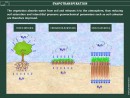 EVAPOTRANSPIRATION
