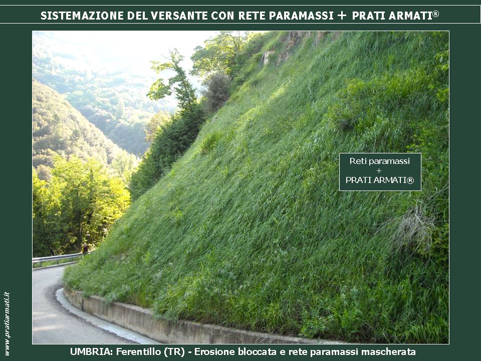 RETI metalliche a contatto + PRATI ARMATI: IN CASO DI ALLUVIONI O PIOGGE TORRENZIALI L'ACQUA SCORRE SULLA COLTRE VEGETALE SENZA PROVOCARE EROSIONE E FRANE. MANUTENZIONE ANNULLATA ! RETI PARAMASSI + PRATI ARMATI: IN CASO DI ALLUVIONI O PIOGGE TORRENZIALI L'ACQUA SCORRE SULLA COLTRE VEGETALE SENZA PROVOCARE EROSIONE E FRANE. MANUTENZIONE ANNULLATA !