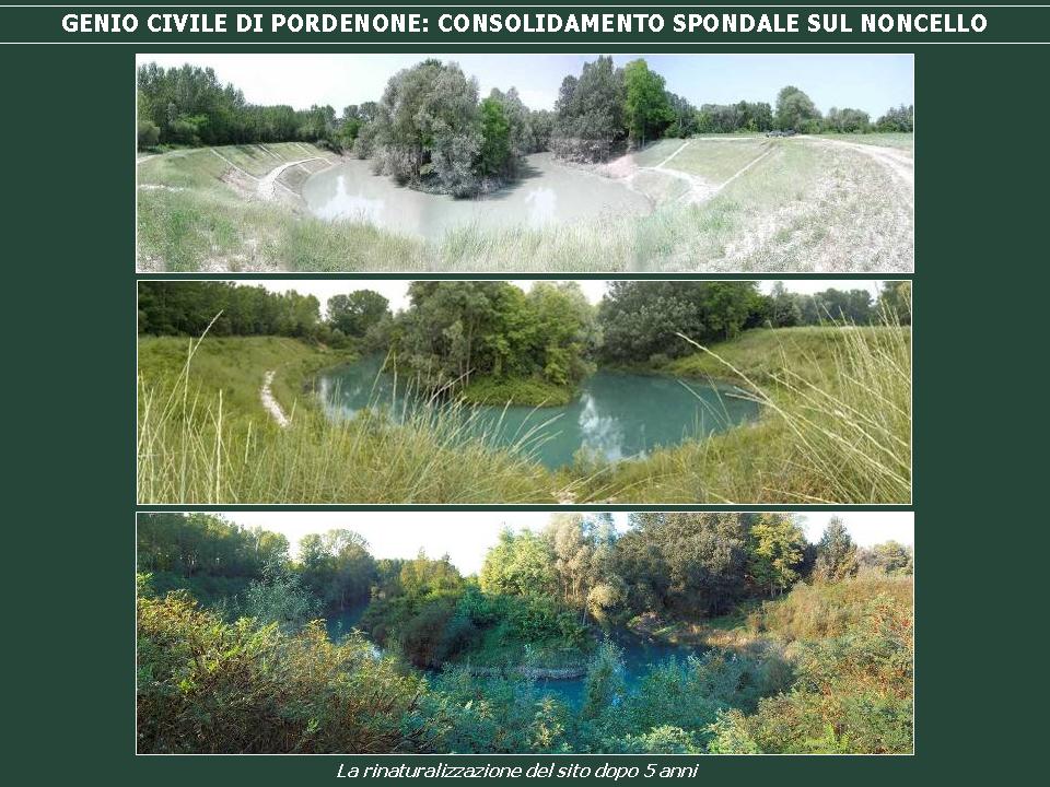 DIFESA SPONDALE: blocco del'erosione e rinaturalizzazione a Pordenone