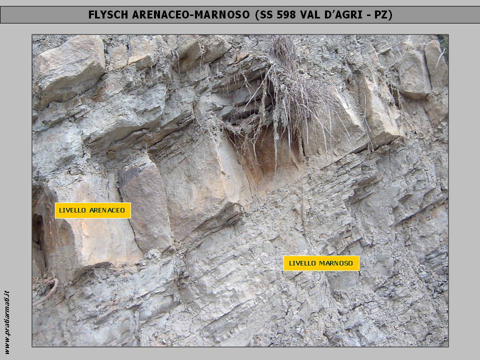 <p>Litotipo: FLYSCH: I PRATI ARMATI® vegetano perfettamente su qualsiasi litotipo, anche il più sterile e inquinato. L’impiego di questa tecnologia antierosiva naturale consente quindi di operare anche in aree in cui le condizioni pedoclimatiche erano fino a pochi anni fa ritenute proibitive per lo sviluppo della vegetazione e, data la sua semplicità realizzativa, riduce notevolmente costi, energia, rischi, tempi di lavorazione.</p> <p>Litotipo: FLYSCH: I PRATI ARMATI® vegetano perfettamente su qualsiasi litotipo, anche il più sterile e inquinato. L’impiego di questa tecnologia antierosiva naturale consente quindi di operare anche in aree in cui le condizioni pedoclimatiche erano fino a pochi anni fa ritenute proibitive per lo sviluppo della vegetazione e, data la sua semplicità realizzativa, riduce notevolmente costi, energia, rischi, tempi di lavorazione.</p>