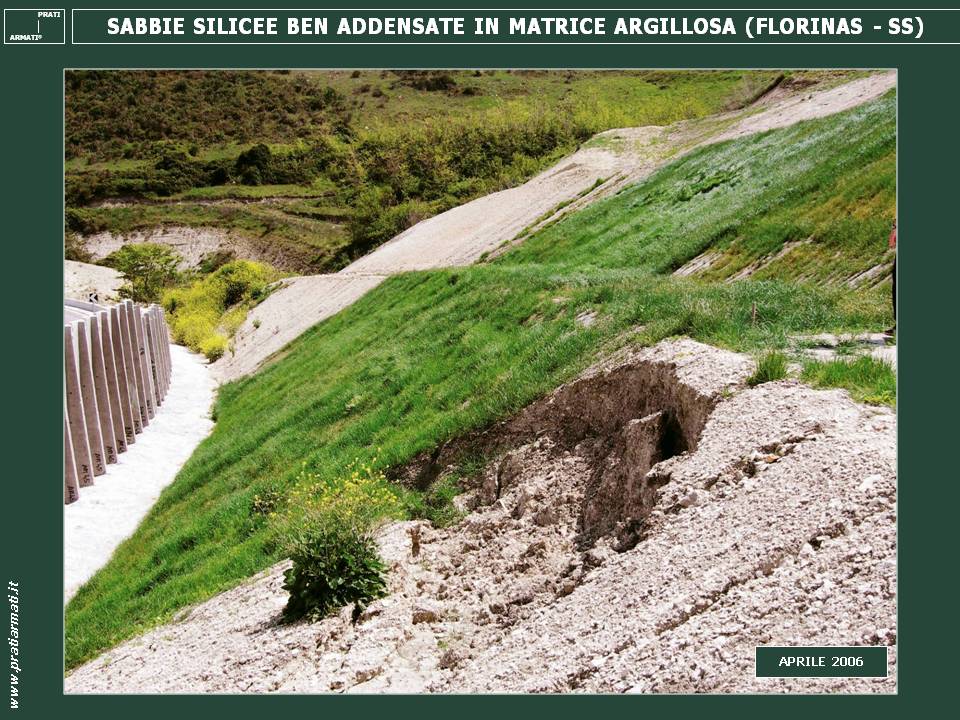 SABBIE I PRATI ARMATI Vegetano Anche Su Scarpate Sabbiose Prati SABBIE I PRATI ARMATI Vegetano Anche Su Scarpate Sabbiose Prati