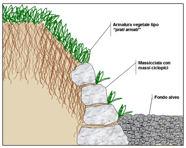 SISTEMI-MATERIALI-MANUFATTI-ANTIEROSIVI-TECNICHE-ANTIEROSIONE su scarpate in bagnato: armatura vegetale del terreno di sponde e argini con piante erbacee a radicazione profonda. SISTEMI-MATERIALI-MANUFATTI-ANTIEROSIVI-TECNICHE-ANTIEROSIONE su scarpate in bagnato: armatura vegetale del terreno di sponde e argini con piante erbacee a radicazione profonda.
